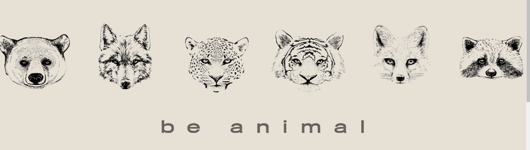 Frida's Tierchen